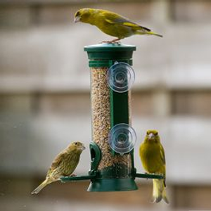 Window Bird Seed Feeder Discovery®