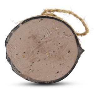 Half Coconut with Peanut Butter Bird Food