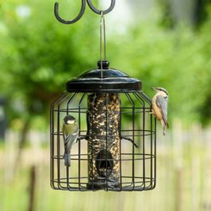 Brussels Guardian Caged Bird Seed Feeder