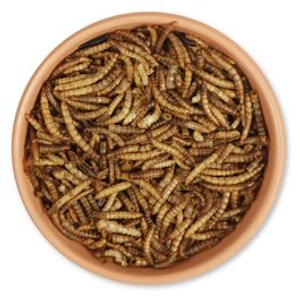 Dried Mealworms 500g