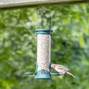 National Trust 2 Port Metal Bird Seed Feeder Defender®