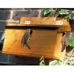 House Sparrow Terrace Nest Box Plywood