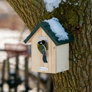 National Trust Vail Larch Nest Box 32mm