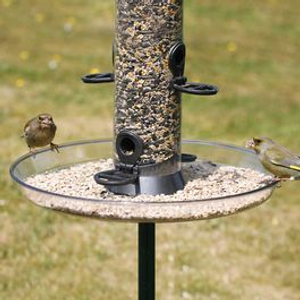 Large Bird Seed Catcher Tray