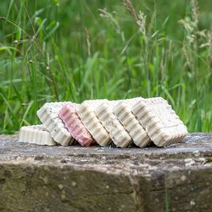 Peanut Cake Squares - Bundle of 7