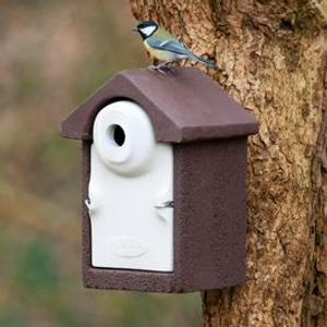 WoodStone Seville Nest Box 32mm - Brown