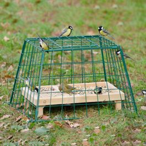 Ground Feeder Guardian Cage - Large Mesh
