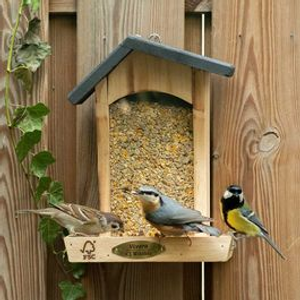 Houston Bird Seed Feeder