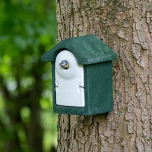 National Trust WoodStone Nest Box 28mm - Green