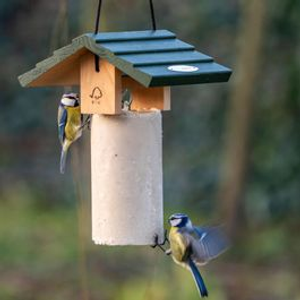 Claviere Suet Cake Feeder