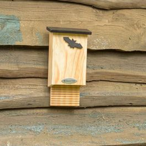 National Trust Bat Box Glamis