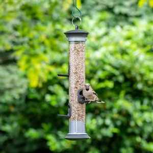 Apollo 5 Port Bird Seed Feeder