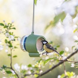 Rio Peanut Butter Jar Feeder