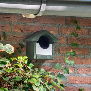 National Trust WoodStone® Open Nest Box - Green