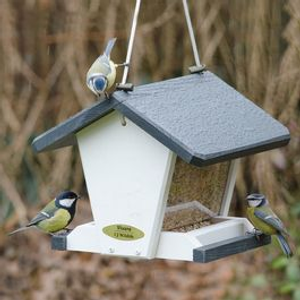 Geneva Bird Feeding House