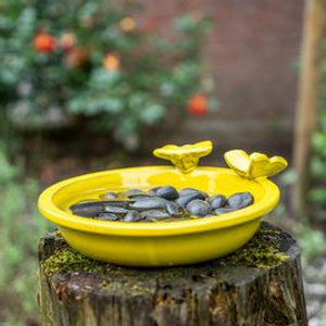 Large Bee & Butterfly Bath