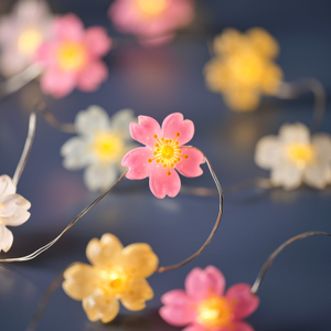 Batteriebetriebene LED‑Mikro‑Blumenlichterkette mit 20 Lichtern in Warmweiß