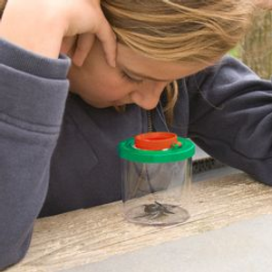 Darwin Bug Viewer for Kids