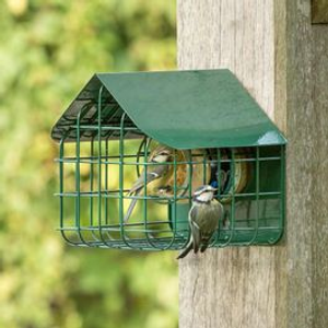 Waterford Guardian Caged Peanut Butter Feeder