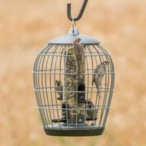 Aura Guardian Caged Bird Seed Feeder