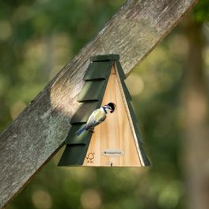 National Trust Aspen Larch Nest Box 28mm