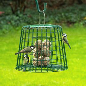 Guardian Caged Suet & Fat Ball Feeder