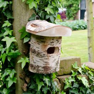 Uppsala Wren Nest Box
