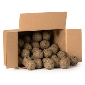 Large Insect Fat Balls - Box of 50