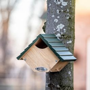 National Trust Robin & Wren Nest Box