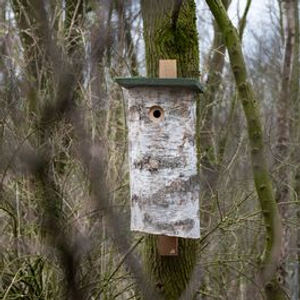Woodpecker Nest Box Malmo