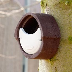 WoodStone Alicante Open Nest Box - Brown