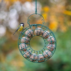 Fat Ball Feeding Ring Large