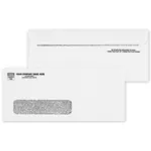#10 Single Window Envelope, Security Tint, Self Seal 2 Flaps