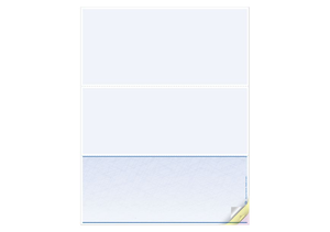 Blank Laser Checks, Bottom Format
