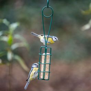 Suet Log Scoop & Feed