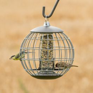 National Trust Athena Guardian Caged Bird Seed Feeder
