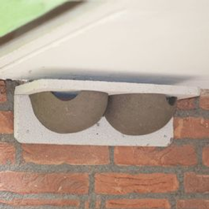 WoodStone® House Martin Nest Box Cups - Double