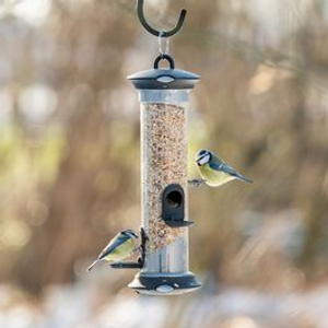 Apollo 3 Port Bird Seed Feeder
