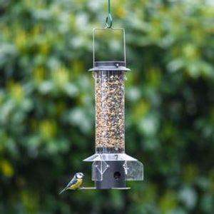 Leto Bird Seed Feeder for Small Birds