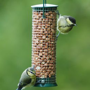 Hanging Peanut Bird Feeder Discovery