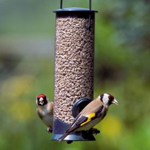 Hanging Bird Seed Feeder Discovery®