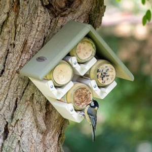 Freiburg Peanut Butter Bird Feeder