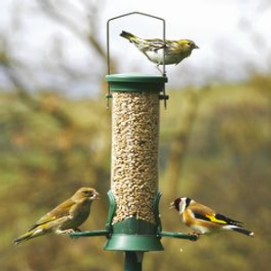 Challenger® 2 Port Bird Seed Feeder