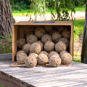 Insect Fat Balls for Birds - Box of 50