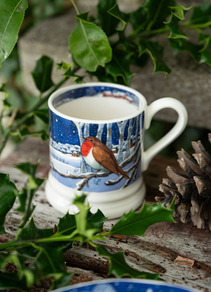 Seconds Midnight Robin 1/2 Pint Mug