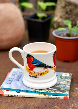 Seconds Bullfinch 1/2 Pint Mug