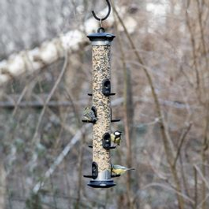 Apollo 8 Port Bird Seed Feeder