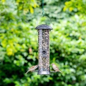 4 Port Bird Seed Feeder Adventurer