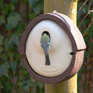 WoodStone® Alicante Nest Box 32mm Oval Hole - Brown