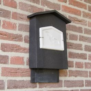 Bat Box Chillon WoodStone